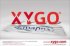 XYGO, para avanzar con inteligencia. XYGO, para avanzar con inteligencia.